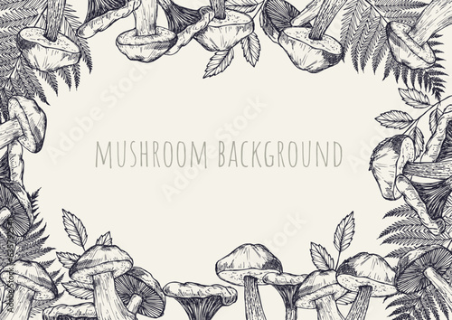 Mushroom frame. Vegetarian food, sketch autumn forest plants. Retro healthy raw, cooking ingredients vector background