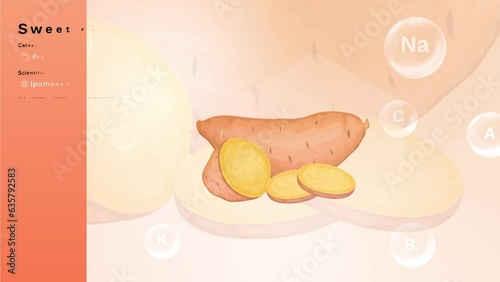 Sweet Potato and its Nutritional Properties with Minerals and Vitamins- Infographics Design