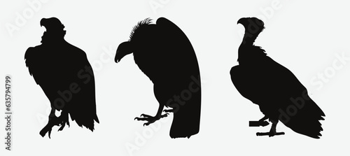 Graceful Vulture Silhouettes  A Collection of Majestic Avian Predators in Varied Poses and Gestures