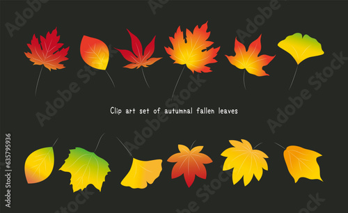 紅葉した落ち葉のカラフルなイラストセット イチョウ・楓・樫・メイプルリーフ・プラタナス・モミジ ベクター