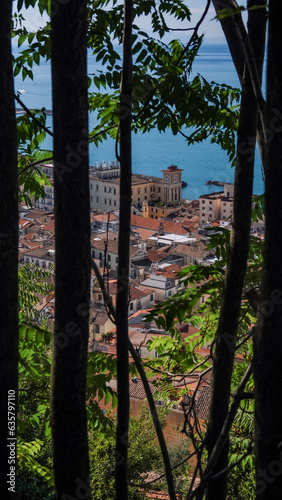 Panorama della città di Salerno dall'alto © Donlisander