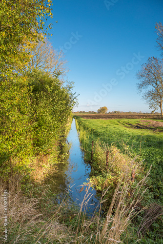 Elbwiesen mit Bachlauf bei Hetlingen in Schleswig-Holstein