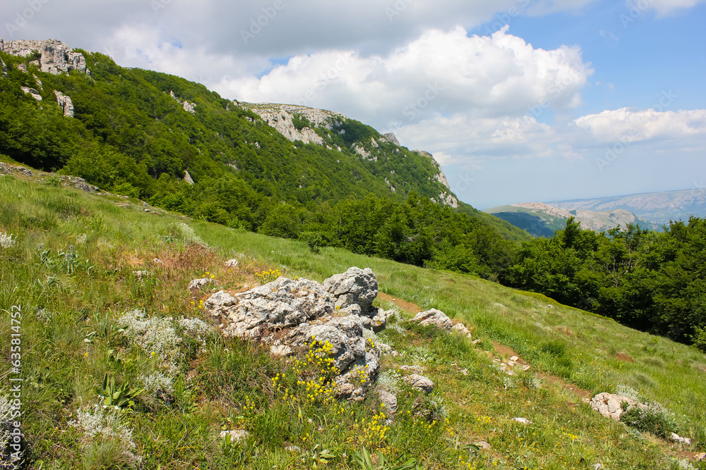mountainside with stones, grass and cliff against the distant horizon and sky with clouds during the day in Europe