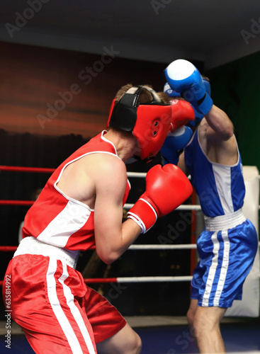 live fight in the ring