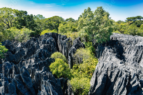 Petit Tsingy de Bemaraha, Strict Nature Reserve located near the western coast of Madagascar. UNESCO World Heritage with unique geography, mangrove forests, and animal. Madagascar wilderness landscape photo