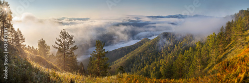 Autumn view of a mountain valley covered with fog, panorama