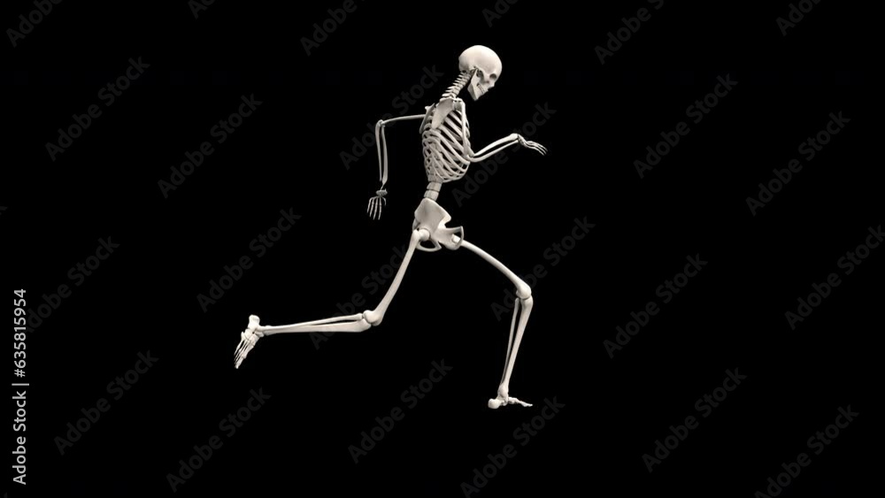 Running skeleton - 3d render looped with alpha channel. Running skeleton - 3d render looped with alpha channel.