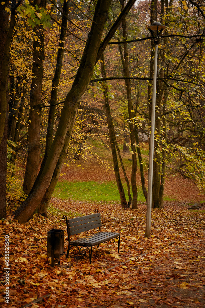 Wet autumn leaves on wooden bench in public park during rain in autumn Wet autumn leaves on wooden bench in public park during rain in autumn