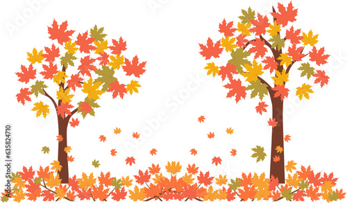 Beautiful maple trees with falling turned red leaves for autumn season design concept.