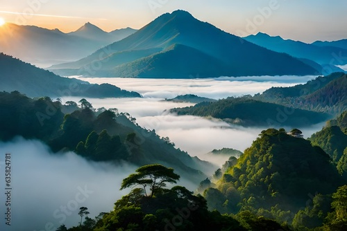 Aerial view of Asia morning mist at tropical forest mountain, Background of beautiful forest and mist, Aerial top view background forest