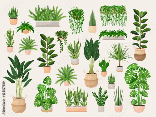 Set of houseplants in a pots for home, office, premises decor. Colorful vector collection of illustrations isolated on white background. Trendy home decor with plants, urban jungle.