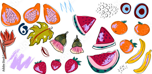 Tropical exotic bright collection. Vector elements in flat style...