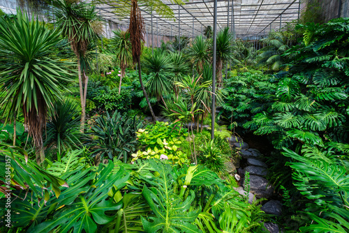 Interior view of the cold house Estufa Fria is a greenhouse with gardens  ponds  exotic plants and trees in Lisbon  Portugal