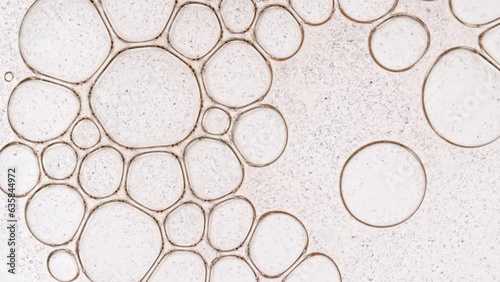 Bubble cluster transparent, cells under a microscope burst on white background. Gel texture with bubbles, skin care product. Macro Shot of Natural Organic Cosmetics, Medicine. High quality 4k footage