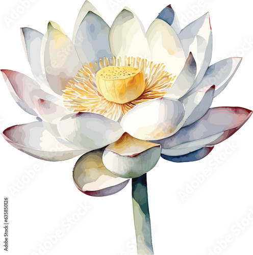 Fotografiet water color lotus handrawn vector isolated