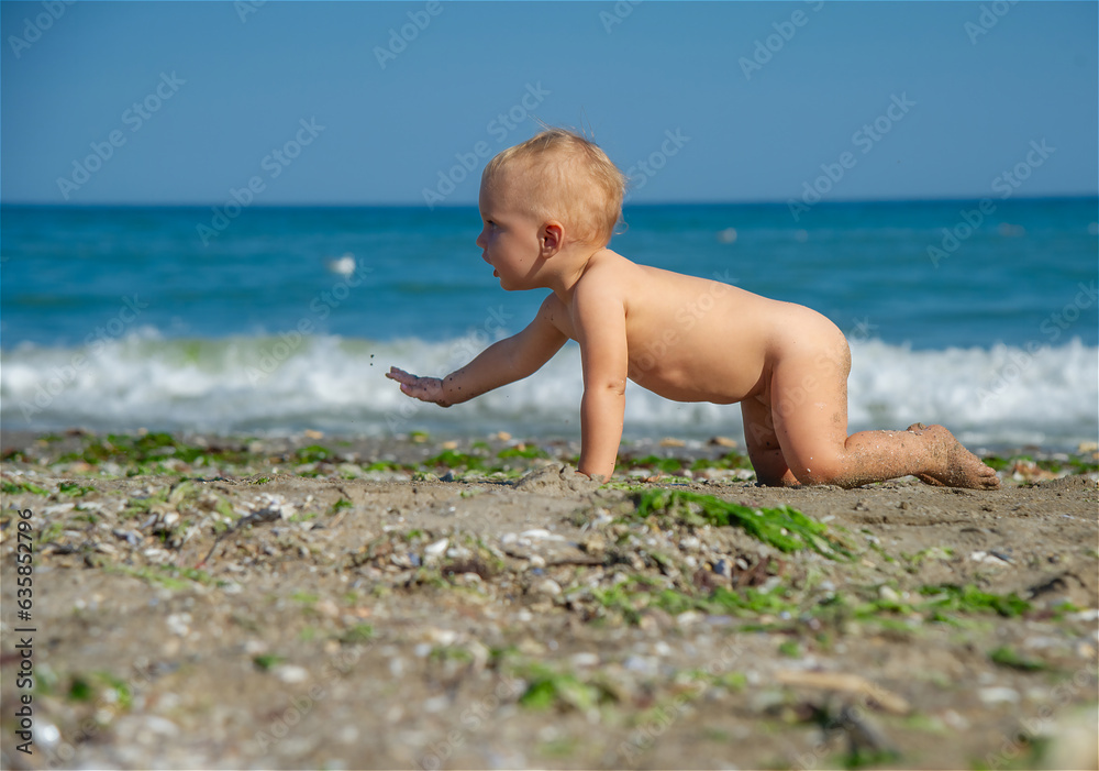 Baby walking on his knees on the beach Baby walking on his knees on the beach