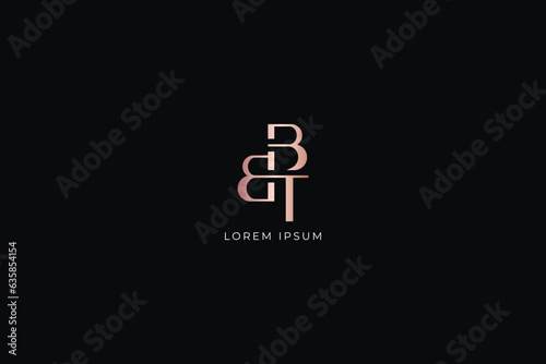 tbb letter fashion brand luxury style design modern style creative golden wordmark design typography illustration, bbt wordmark, btb logo photo