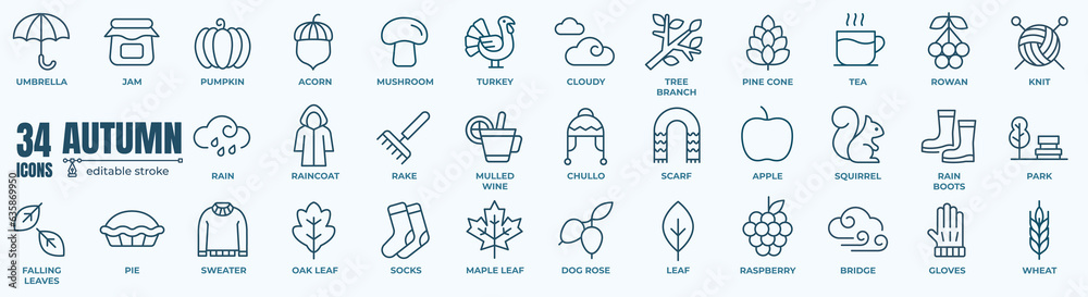 Set of autumn nature Icons. Simple line art style icons pack. Vector ...