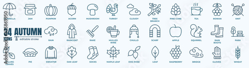 Set of autumn nature Icons. Simple line art style icons pack. Vector illustration