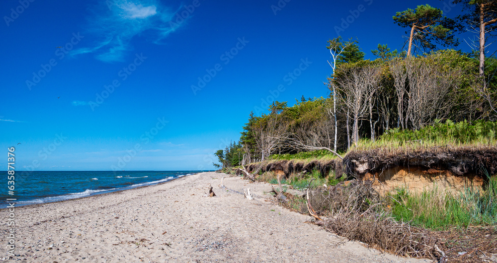 Fototapeta premium German Baltic Sea near Graal-Müritz