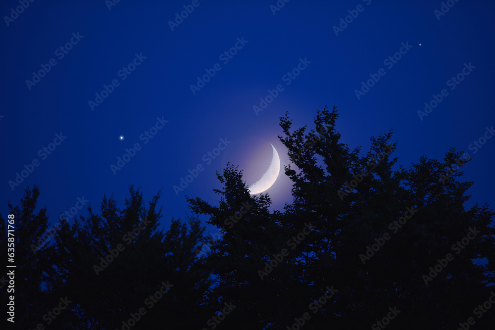 Waxing crescent Moon, planets and stars rising behind tree silhouettes.