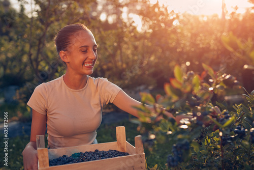 Fotografie Teenager picking blueberries on a family farm as a summer part-time job