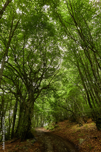 The Hourataté pass is a mountain pass in the Pyrénées-Atlantiques that connects the Aspe Valley, in historic Béarn, with Lourdios-Ichère