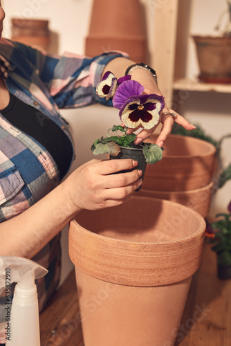Woman repotting and taking care of houseplants indoors. photo