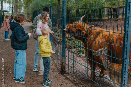 Family with child in zoo feeds buffalo. Happy family, young mother with three children, cute laughing toddler boy and a teen age girl and boy feeding buffalo during a trip to a city zoo on a hot