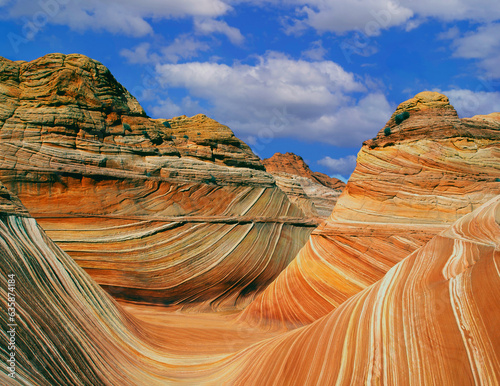 Layered sandstone from the area of Paria Canyon-Vermillion Cliffs photo