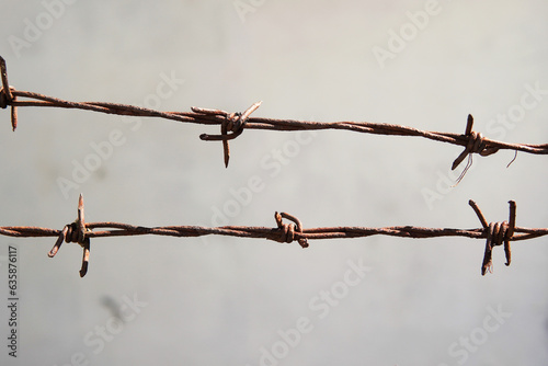 rusty barbed wire
