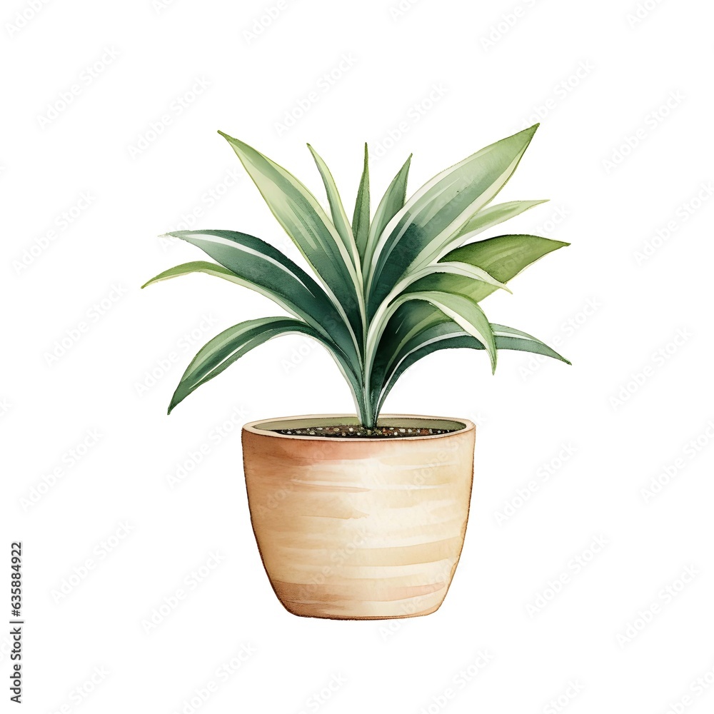 House plant isolated on white background in watercolor style House plant isolated on white background in watercolor style