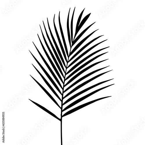 palm branch for design