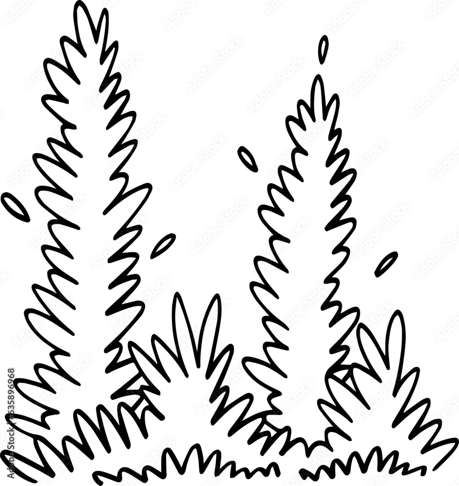 hand drawn bush illustration. hand drawn bush illustration.