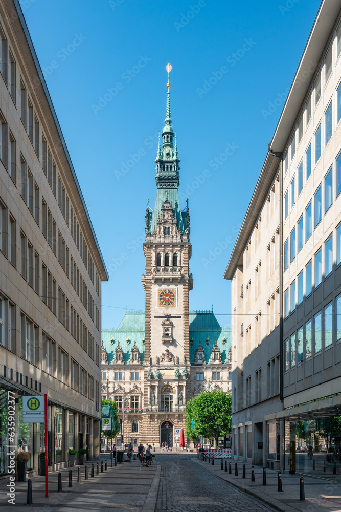 Hamburg City Hall at Rathausmarkt square 