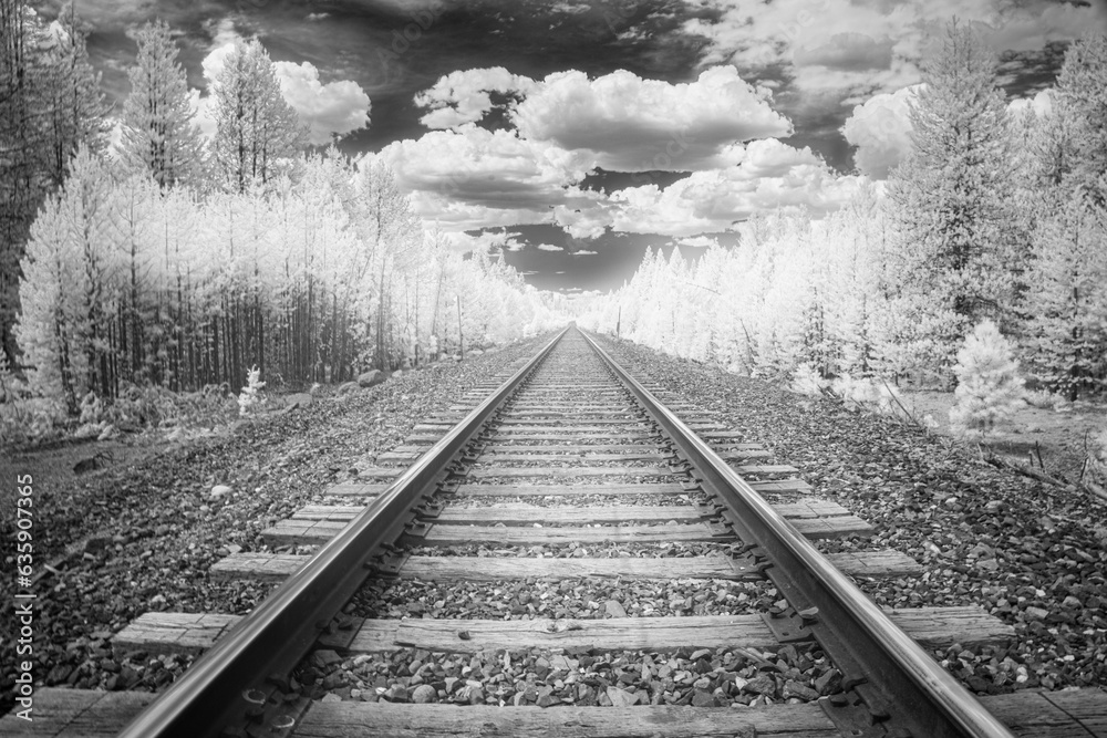 Burlington Northern Sante Fe railroad tracks through the Lassen National Forest - Lassen County California USA (black and white infrared image) Burlington Northern Sante Fe railroad tracks through the Lassen National Forest - Lassen County California USA (black and white infrared image)