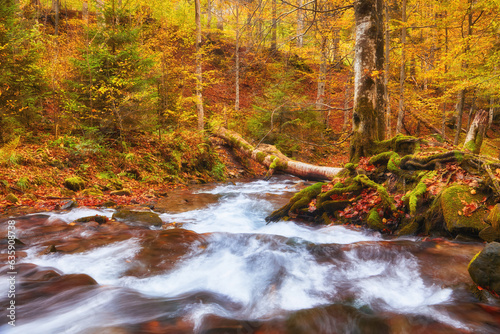 Fototapeta Naklejka Na Ścianę i Meble -  Enchanting Autumn River Amidst Narrow Mountain Gorge