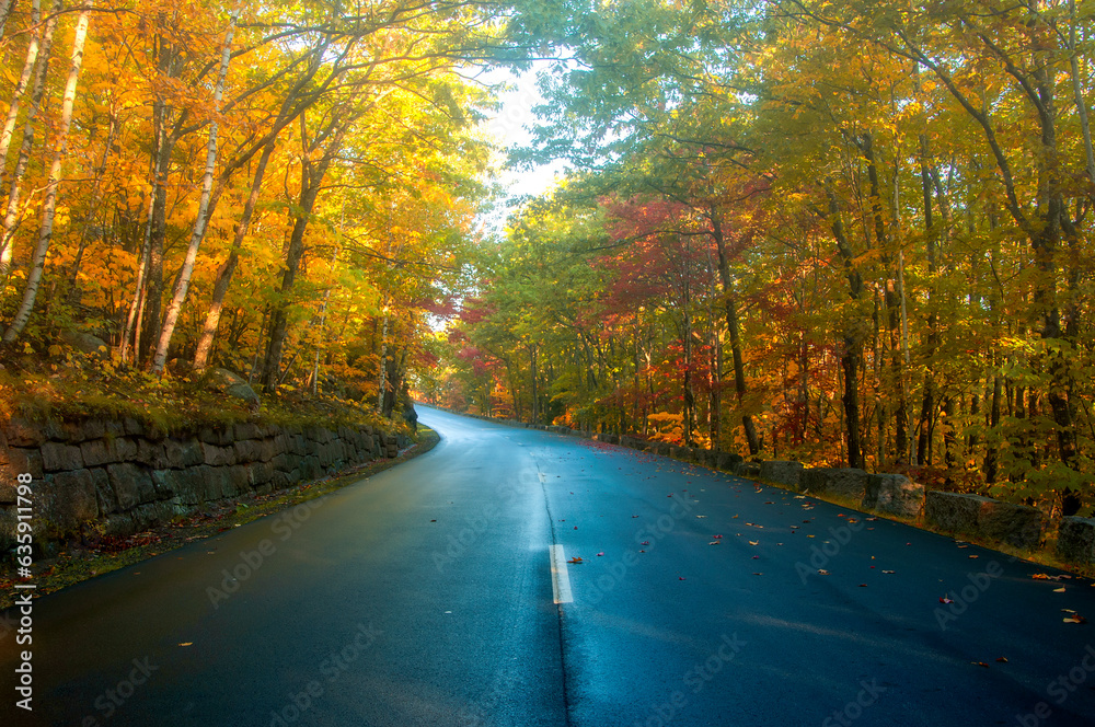 Road in the autumn. Asphalting of the road, turn to yellow, orange autumn forest. Beautiful autumn in the national park. USA. Maine. Acadia Park.
