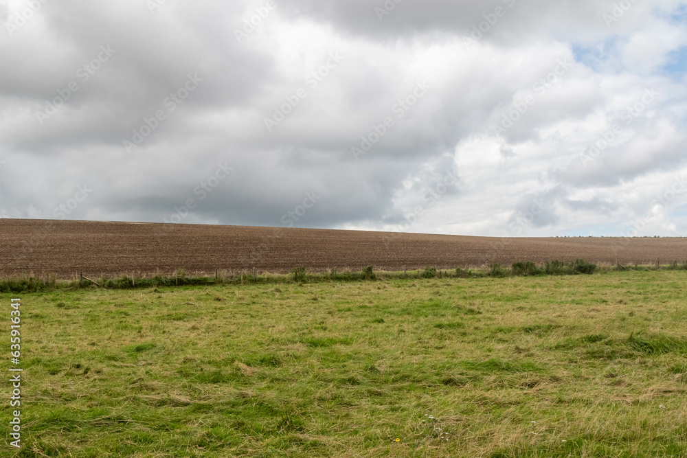A field along the West Kennet Avenue World Heritage Site