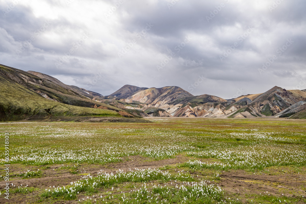 Fototapeta premium canyon in landmannalaugar, iceland