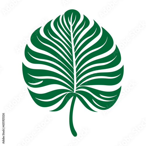 tropical leaf