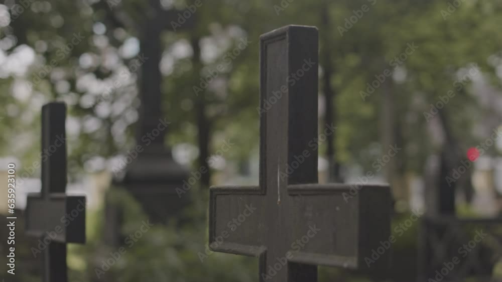 No people closeup of two black cross memorials in graveyard at cemetery with plenty of green trees growing No people closeup of two black cross memorials in graveyard at cemetery with plenty of green trees growing