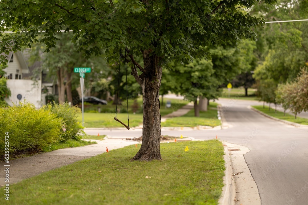 Tree swing on a suburb street with utility flags in the grass