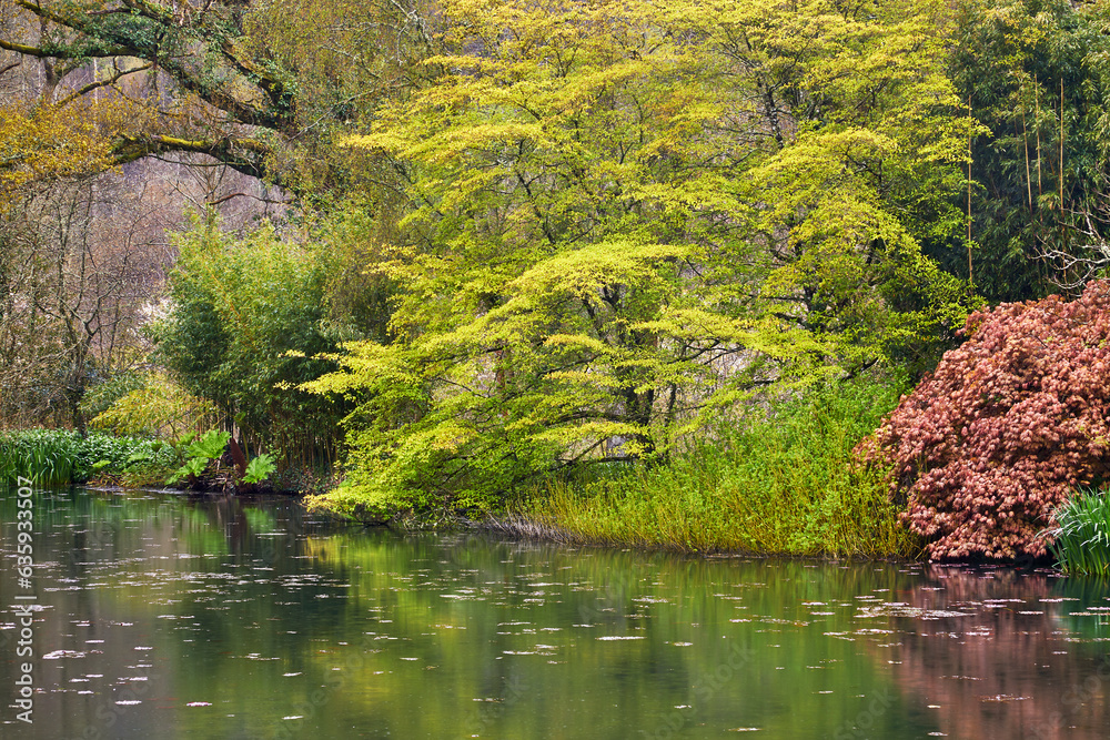 A springtime view of the lake at RHS Rosemoor Garden, near Great Torrington, Devon, England, United Kingdom A springtime view of the lake at RHS Rosemoor Garden, near Great Torrington, Devon, England, United Kingdom