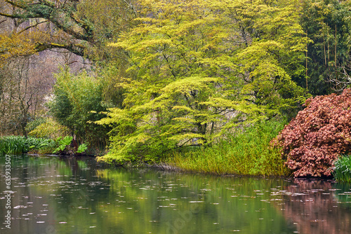 A springtime view of the lake at RHS Rosemoor Garden, near Great Torrington, Devon, England, United Kingdom photo