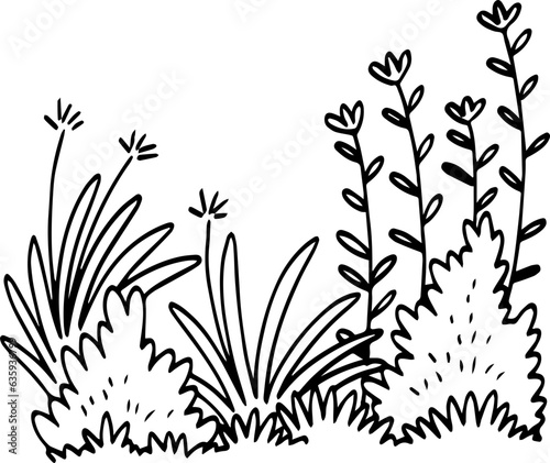 hand drawn bush illustration.