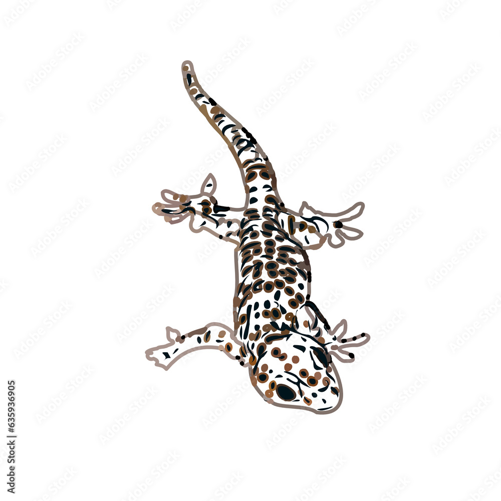 Naklejka premium Color sketch of gecko with a transparent background