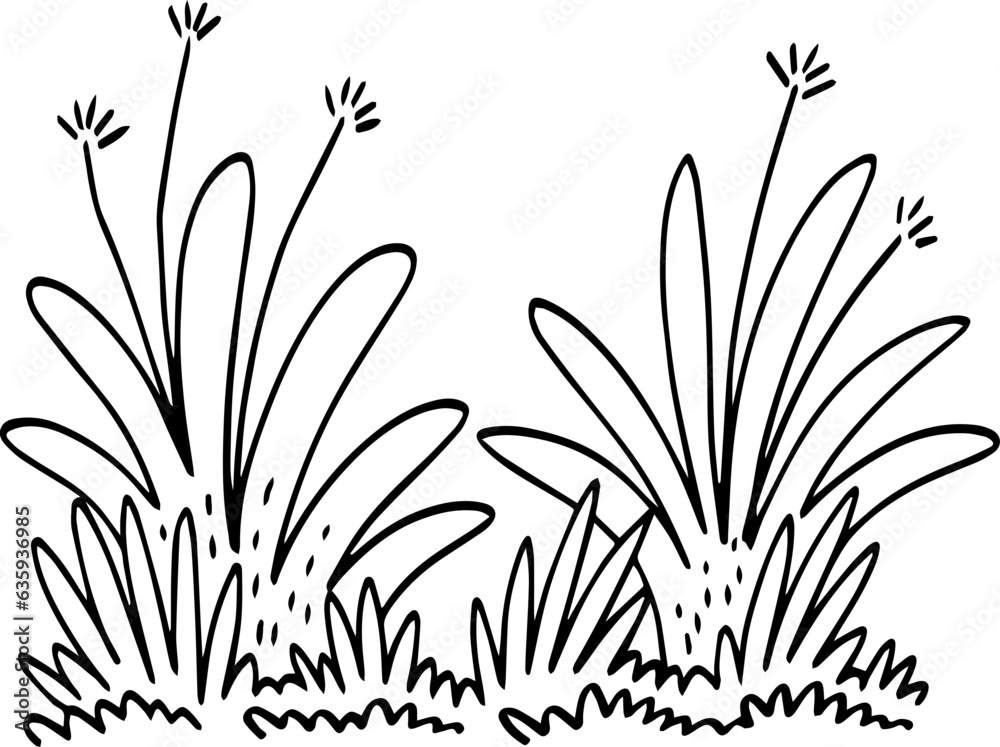 hand drawn bush illustration. hand drawn bush illustration.