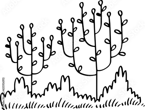 hand drawn bush illustration.