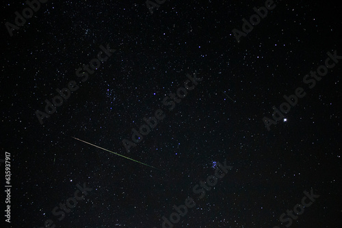 Night Sky With Bright Perseid Meteor And A Few Smaller Ones
